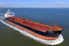 Thumbnail Image for Mare Action