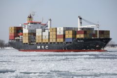 Thumbnail Image for MSC Nita