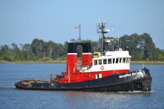 Thumbnail Image for Seaspan Pacer