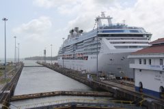 Thumbnail Image for Coral Princess oncontextmenu=