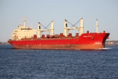 Thumbnail Image for Federal Sable