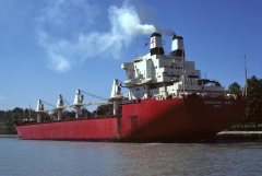 Thumbnail Image for Transocean Pearl