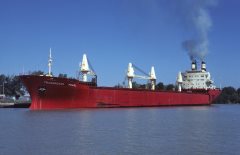 Thumbnail Image for Transocean Pearl