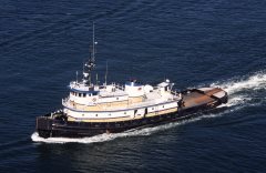Thumbnail Image for Pacific Falcon