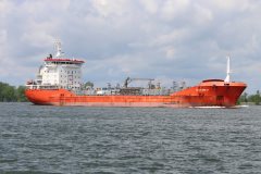 Thumbnail Image for Swan Biscay