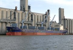 Thumbnail Image for Federal Miramichi