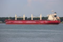 Thumbnail Image for Federal Cardinal