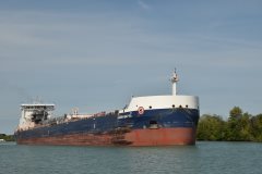 Thumbnail Image for Algoma Niagara