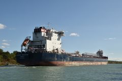 Thumbnail Image for Algoma Innovator