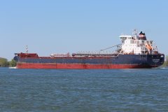 Thumbnail Image for Algoma Mariner