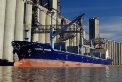 Thumbnail Image for Federal Miramichi
