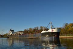 Thumbnail Image for Algoma Buffalo