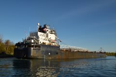 Thumbnail Image for Algoma Buffalo