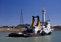 Thumbnail Image for Atlantic Hickory