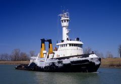 Thumbnail Image for Atlantic Hickory