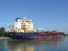 Thumbnail Image for Clipper Leander