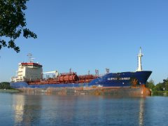 Thumbnail Image for Clipper Leander