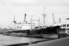 Thumbnail Image for Toho Maru oncontextmenu=